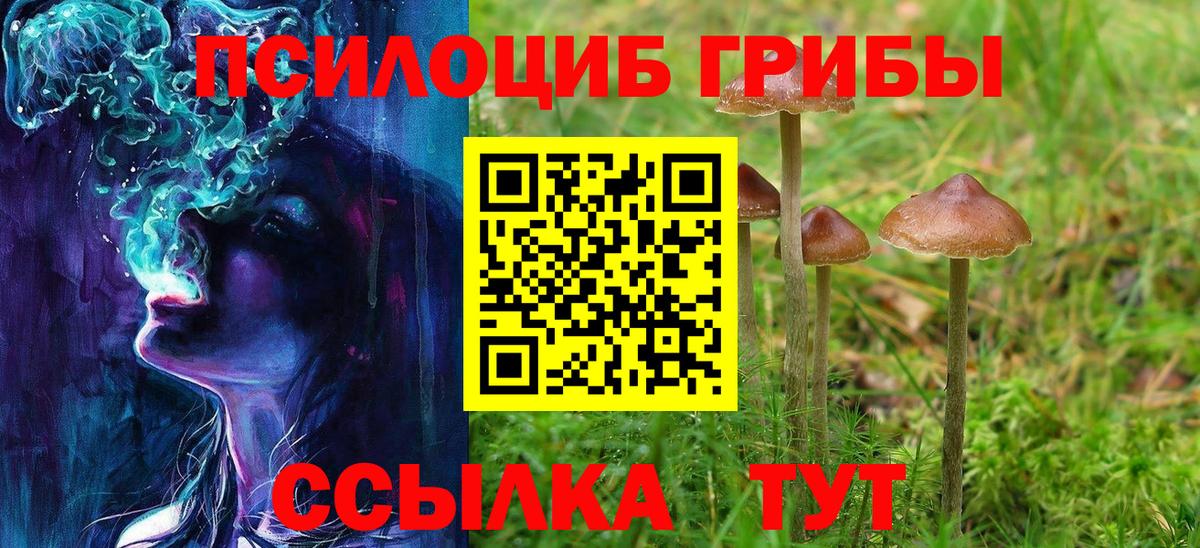 Псилоцибиновые грибы Psilocybine cubensis Набережные Челны