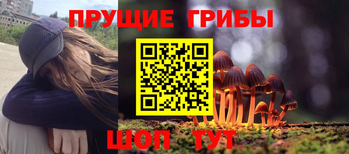 Галлюциногенные грибы MAGIC MUSHROOMS  Вход с VPN  Набережные Челны 